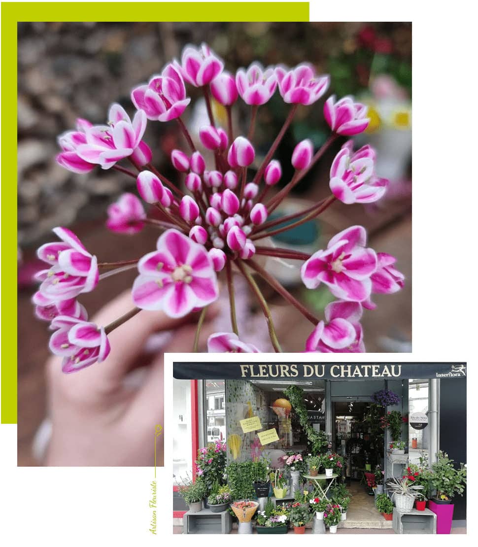 Fleuriste à Maintenon, Eure-et-Loir 28